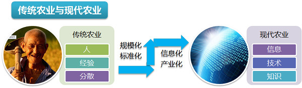 智能温室大棚控制系统