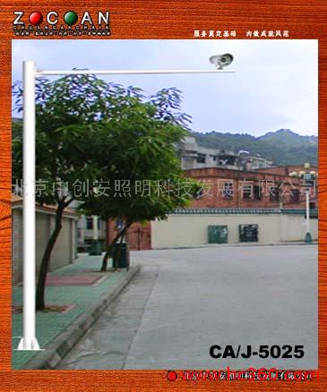 供应智能建筑 道路交通信号杆图1