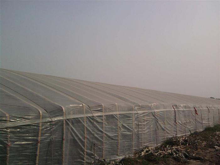翰润单体春秋拱棚 寿光农业大棚 造价详询138-6368-1802 智能温室图3