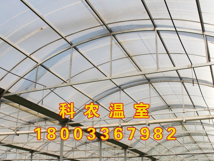 山东建设智能温室大棚就得选科农农业 山东智能温室图3