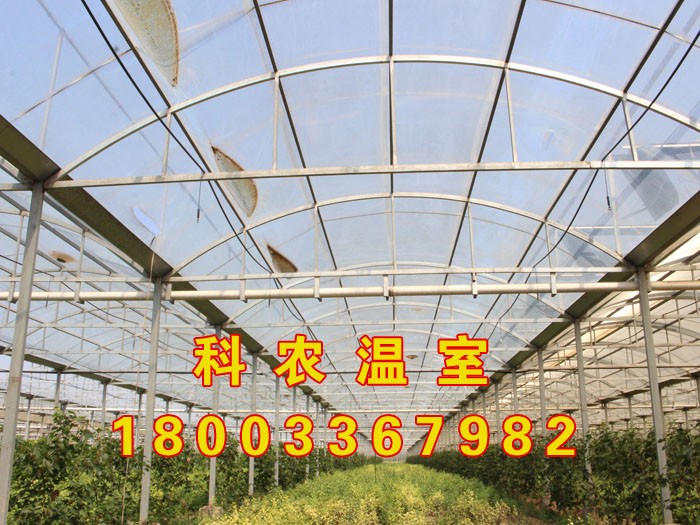 山东建设智能温室大棚就得选科农农业 山东智能温室图2