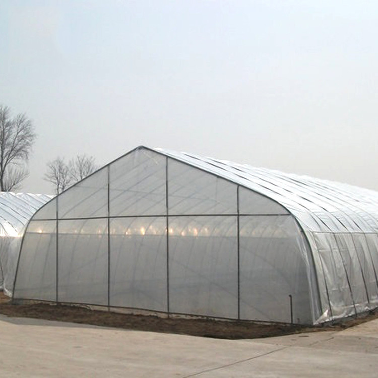 拱棚 新型温室大棚 建设玻璃温室 智能温室  蔬菜育苗温室大棚  农业温室工程图3