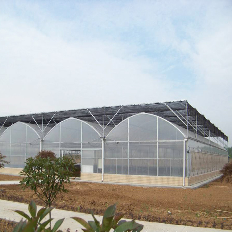 拱棚 新型温室大棚 建设玻璃温室 智能温室  蔬菜育苗温室大棚  农业温室工程图2