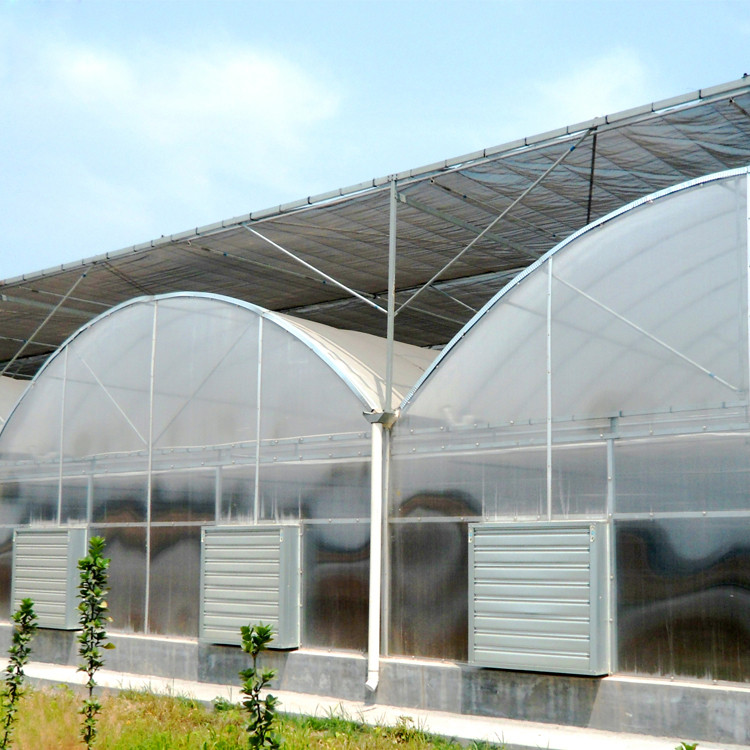 拱棚 新型温室大棚 建设玻璃温室 智能温室  蔬菜育苗温室大棚  农业温室工程图1