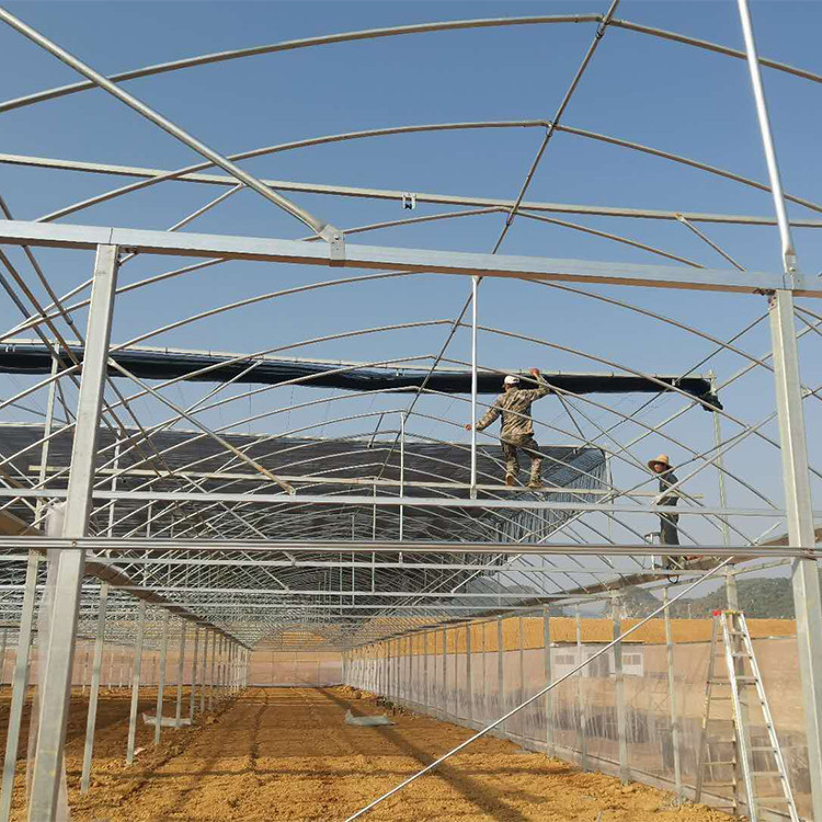 养殖大棚管__农业大棚管_智能温室连栋大棚图2