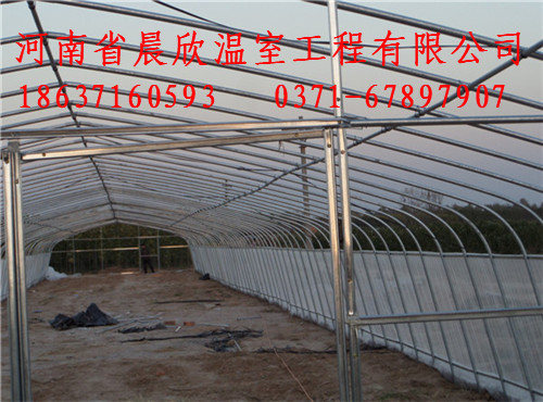 农业连栋薄膜智能温室大棚建设图2