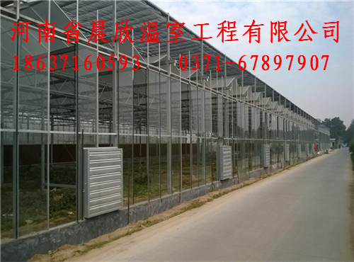 农业连栋薄膜智能温室大棚建设图1