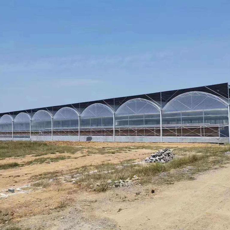 佳农汇丰 养猪大棚 智能温室大棚 农业大棚管批发 蔬菜大棚 欢迎来电详询图2