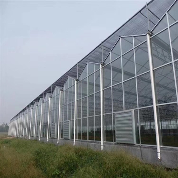 玻璃温室 智能温室批发价格 厂家支持定制现代农业大棚图3