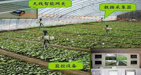 NSWSK 物联网农业智能控制系统图1
