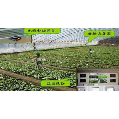 NSWSK 物联网农业智能控制系统