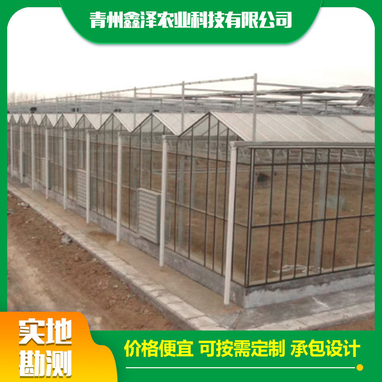 玻璃大棚 鑫泽农业 连栋智能玻璃大棚 智能玻璃大棚图1