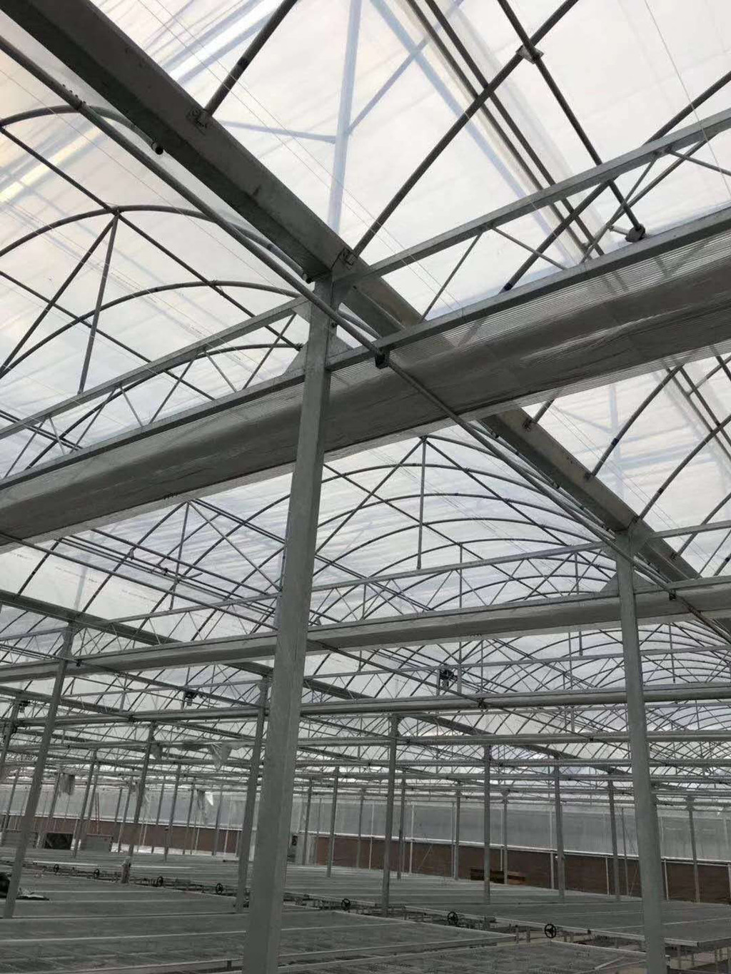 大棚专用 智能温室连栋大棚 盛世中钢 农业大棚管图3