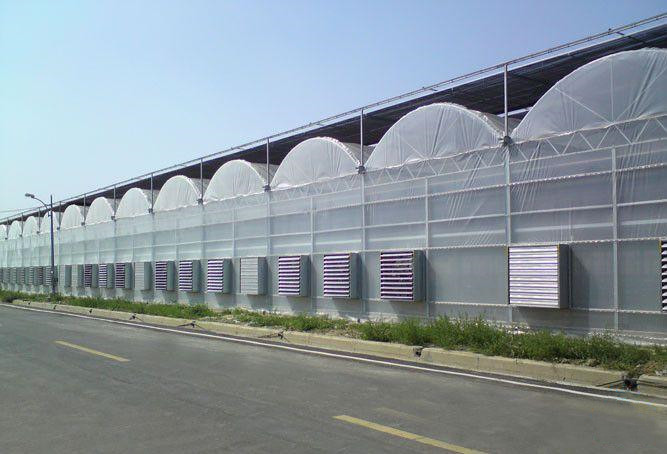 景农农业 薄膜连栋温室薄膜连栋温室厂家连栋温室大棚温室温室大棚智能温室大棚图1