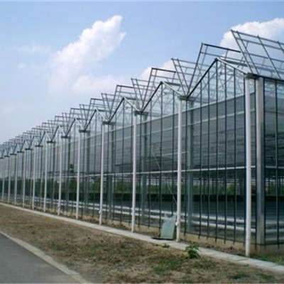 农业花卉蔬菜种植温室大棚  智能农业温室规划设计  盛鸿