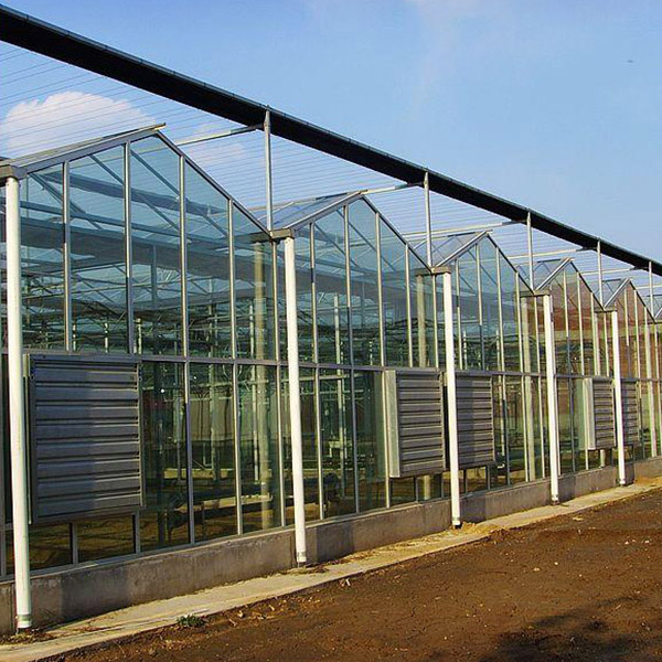 农业用智能温室大棚出售 山东智能温室大棚报价图1