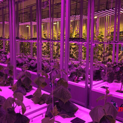 植物种植工厂植物种植净化间智能化雾培植物生长系统农业物联网模块植物种植洁净室