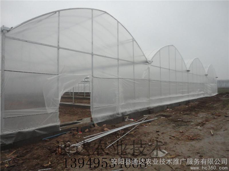 供应通达农业GP-C622智能温室图1