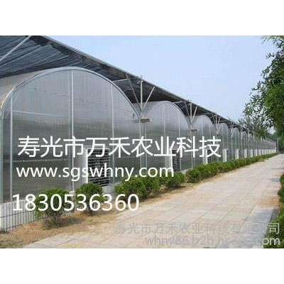 温室、大棚   智能温室   圆拱型塑料连栋温室    寿光市万禾农业科技有限公司