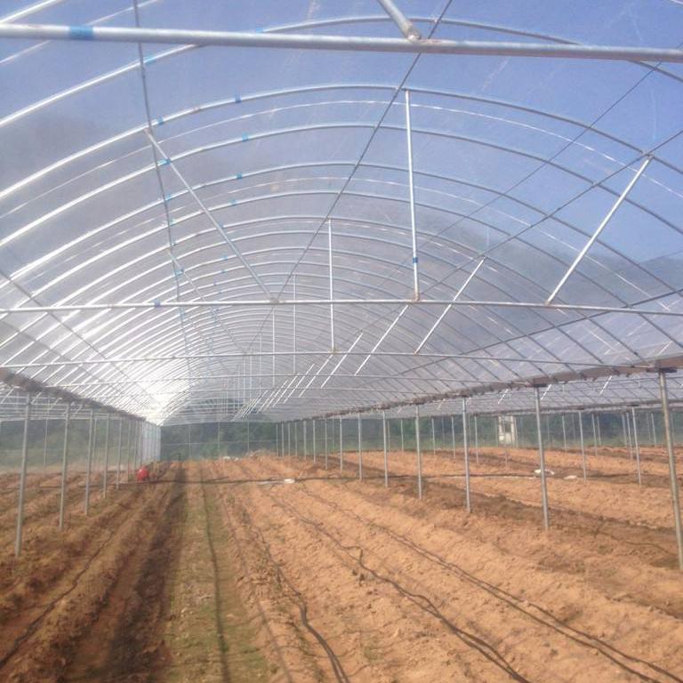 佳农汇丰大棚厂家 智能玻璃温室 农业温室大棚 大棚厂家欢迎电话详询 养牛大棚图3