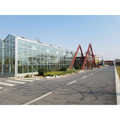 智能玻璃温室大棚 承接温室工程 生态餐厅展厅 钢架新型农业温室大棚厂家