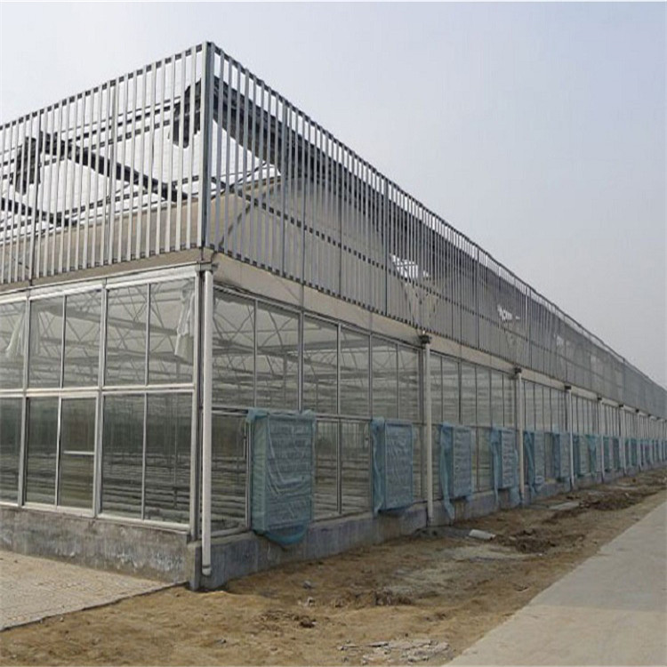 智能玻璃温室大棚 承接温室工程 生态餐厅展厅 钢架新型农业温室大棚厂家图3