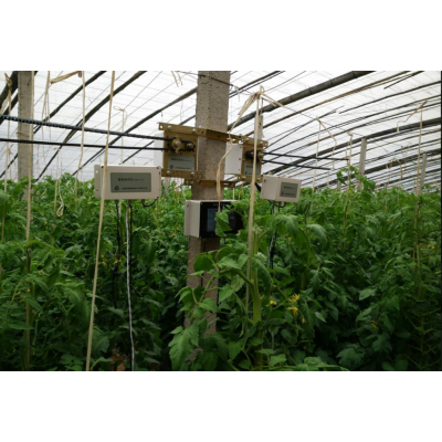霖鹏牌 型号 SGH-610  霖鹏日光温室/蔬菜温室大棚智能放风机    手机APP软件实现远程智能控制 农业机械设备