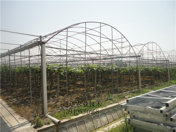供应通达农业GP-622连栋蔬菜拱棚，智能温室系统图1