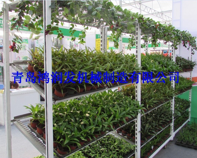 智能温室大棚苗菜育苗专用车有机蔬菜种植架子农业工具车图2