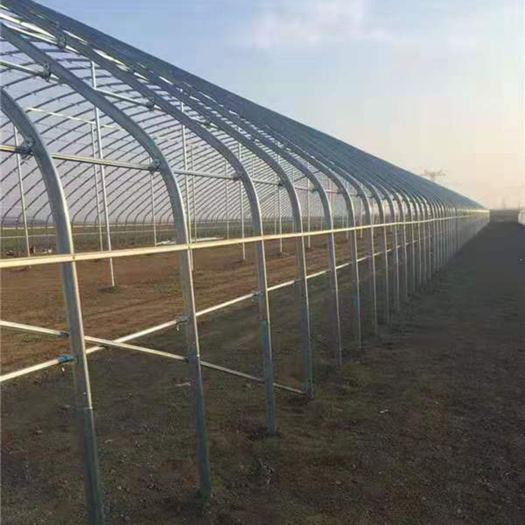 农业合作社大棚管批发 智能温室连栋大棚 连栋大棚厂图3