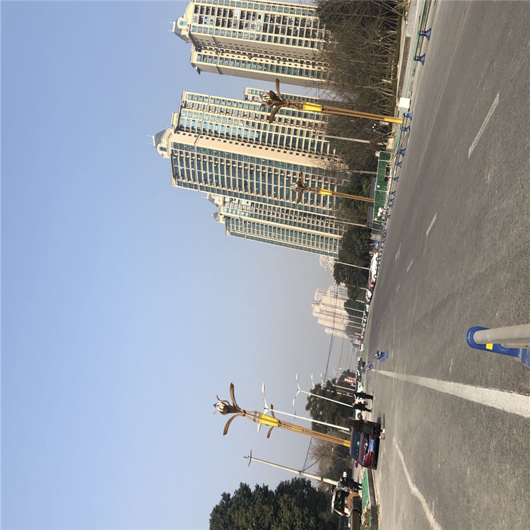 林芝兴丰源智慧校园监控立杆 智慧城市抓拍杆免费咨询图1