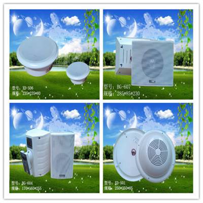 数字网络广播系统、调频可寻址广播系统、智能广播系统、安防监控设备及草坪音箱图2