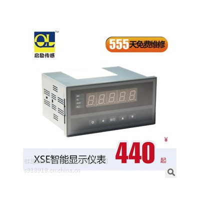XSE智能显示仪表 可带485通信协议 *** 5位显示数显仪表系列