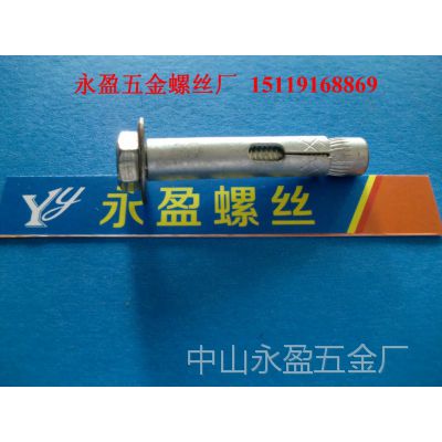 小榄附近螺丝厂保险柜膨胀螺丝-六角头膨胀螺栓-智能家居膨胀螺丝图1