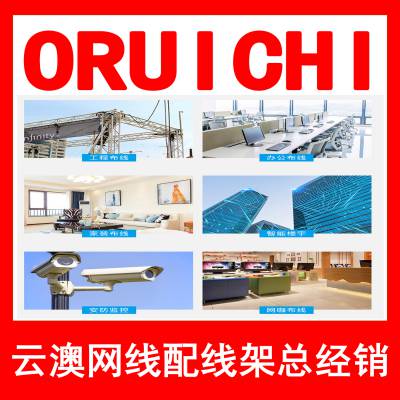 ORUICHI6100AL六类非屏蔽网线智能工程cat6无氧铜高速双绞线100米/箱蓝色 ORUI图3