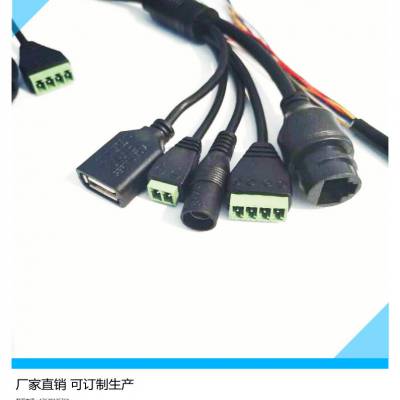 人脸识别智能门禁线16芯线 道路闸机USB多功能摄像机网络图3