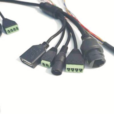 人脸识别智能门禁线16芯线 道路闸机USB多功能摄像机网络图2