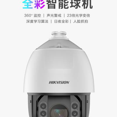 海康威视(HIKVISION)全景智能球机云台特写摄像机网络高清23倍日夜全彩手机远程监控器室外防水