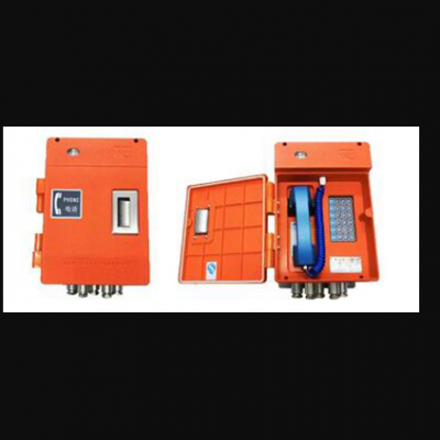 智能防爆扩音电话站(IP网络型) 型号:TW28-X9611库号:M392308图2