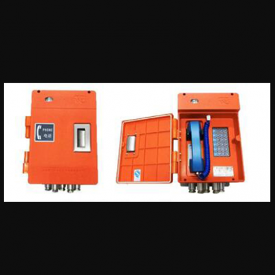 智能防爆扩音电话站(IP网络型) 型号:TW28-X9611库号:M392308图1