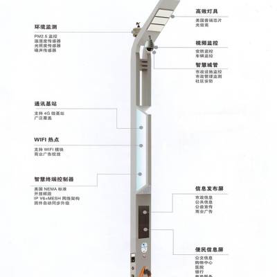 LED5G智慧灯杆9米智能加油站灯杆 智能缴费灯杆 芯鹏达XPD-BF-2540 工业小区照明灯杆