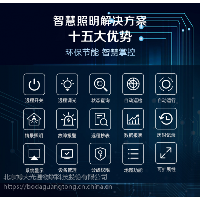 智慧路灯照亮智慧城市发展中的“夜经济”图2