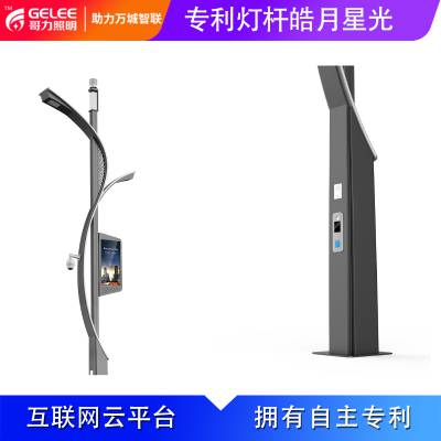 哥力照明***智慧路灯杆定制城市智慧路灯杆智慧路灯配套服务图2