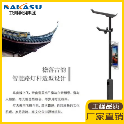 *** 220v智慧路灯 八位一体 智慧路灯方案图3