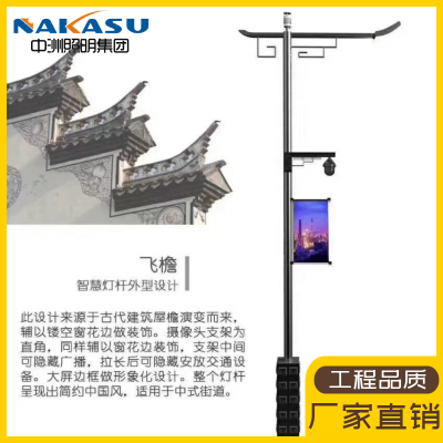 *** 220v智慧路灯 八位一体 智慧路灯方案图2