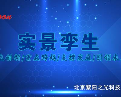智慧城市安防实景孪生售后服务 服务至上 北京黎阳之光科技供应图1