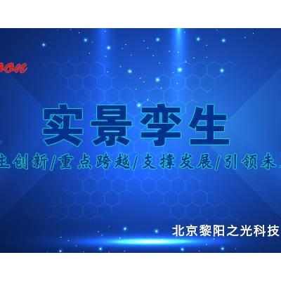 智慧城市安防实景孪生售后服务 服务至上 北京黎阳之光科技供应