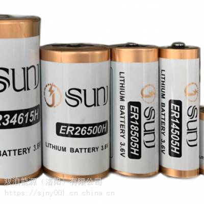 3.6V一次锂原电池 ER17505H 智慧城市后备电源图1