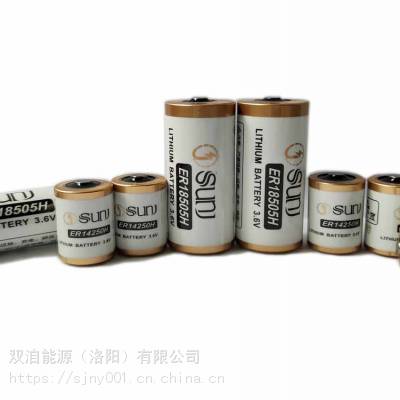 3.6V一次锂原电池 ER17505H 智慧城市后备电源图2