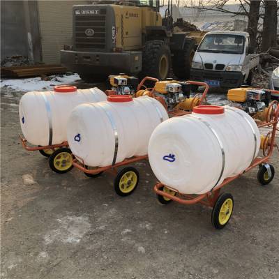 园林果树高压喷雾器 城市绿化带喷雾机 浩发图3